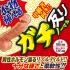 Aone-本物插入吸盤仿真陽具(M號)