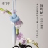 花下月 悅吟結情趣組合 碧藍 (深藍)