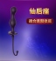 麗波-仙后座 咖啡色