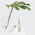 pjur-Woman Aloe 蘆薈滋養保濕水性潤滑液100ml