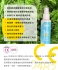 pjur-TOY CLEAN 玩具專用抗菌保養防護液100ml