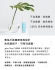 pjur-TOY CLEAN 玩具專用抗菌保養防護液100ml