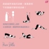 Satisfyer-Power Balls滾動聰明球3入