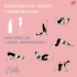 Satisfyer-V Balls雙球聰明球3入