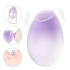 斯漢德-Ice Egg 冰心美妝蛋 跳蛋按摩器(漸變紫)